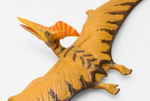 【在庫あり★即納可能】フェバリット 恐竜 プテラノドン ビニールモデル プレミアムエディション【FD-355】【新品★未使用品】