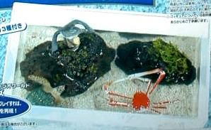 タカラ ナチュロッQ ジワールド