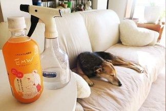 【在庫あり★即納可能】EMW 500ml