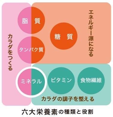 【お取り寄せ★納期 最長 約2週間】EM身になるミネラル 810粒