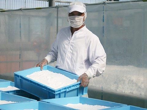 【お取り寄せ★納期 最長 約2週間】EMてぃだの生塩(きしお) 100g/500g/袋(チャック付)