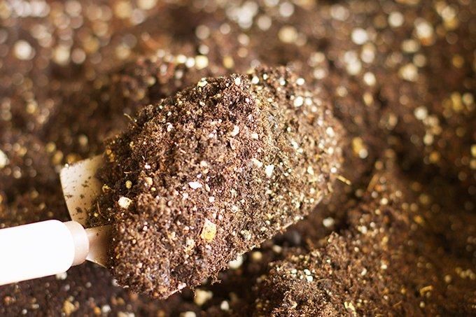 【お取り寄せ★納期 最長 約2週間】発酵上手 500g
