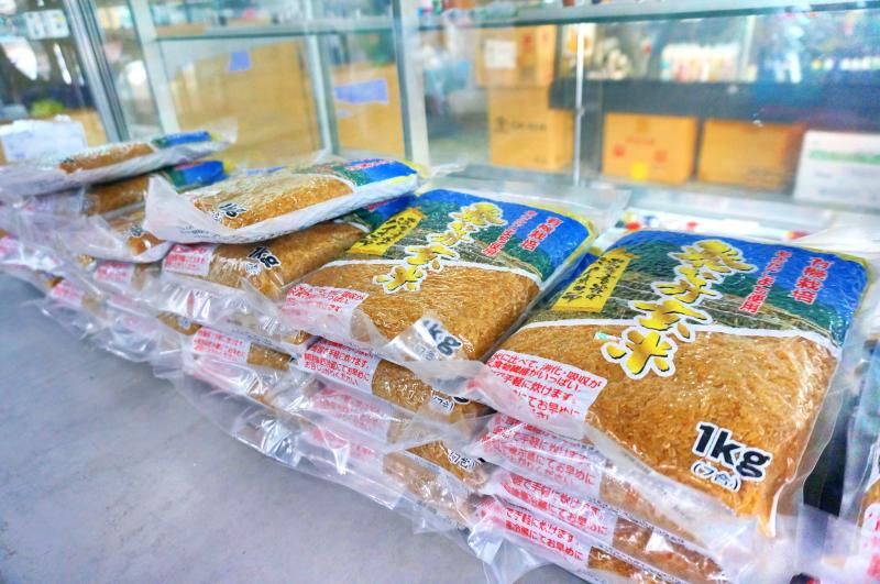 【お取り寄せ★納期 最長 約2週間】加藤農園 発芽玄米 1kg