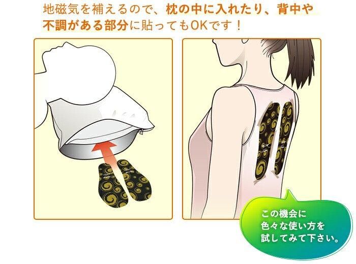 【お取り寄せ★納期 最長 約2週間】ガイアスインソール 2サイズ★電磁波カット!生体エネルギーを生成BLACK EYE Gaiusシリーズ★電磁波防止 電磁波カット 電磁波対策 医療機器