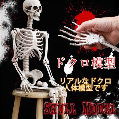 【即納】ドクロ 模型★全長92ｃｍのBIGサイズガイコツ！リアルすぎる骸骨 標本！！◆誰もがビックリ二度見しちゃう髑髏★パーティー ハロウィン ハロウィーン パーティ 肝試し お化け屋敷 ホラー