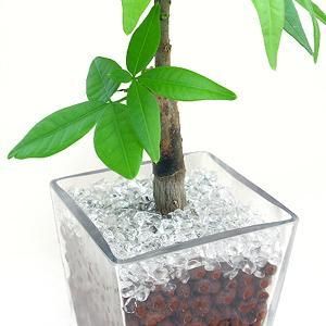開運・縁起・パワー！水晶によるパワーストーン浄化！浄化用水晶チップス さざれ サザレ
