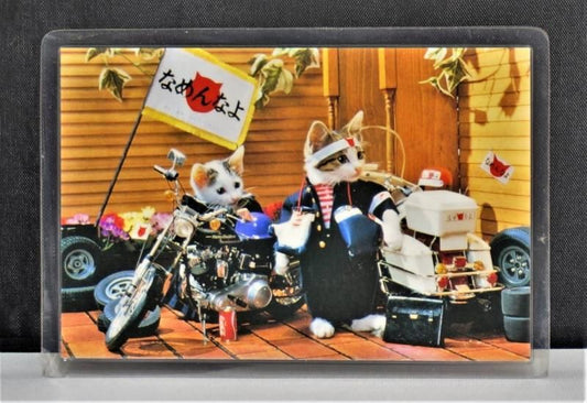 【在庫あり★即納可能】当時物 新品 なめ猫 全日本暴猫連合なめんなよ カードコレクション BR-117 ラミネートカード