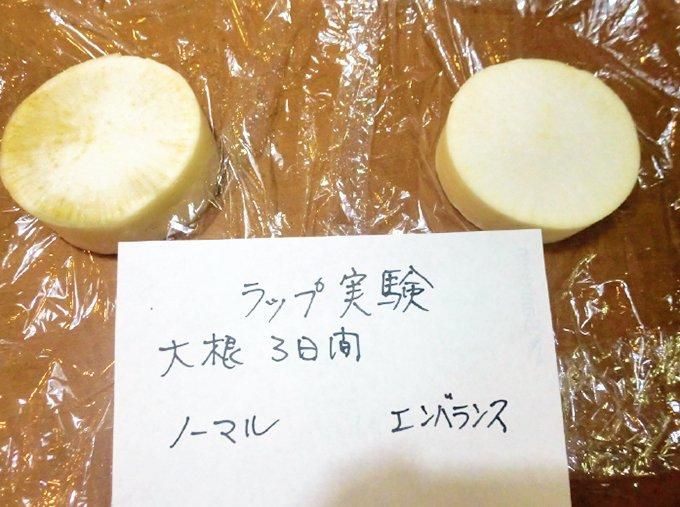 【在庫あり★即納可能】エンバランス バランスラップ 30cm×20m★新鮮ラップ★電磁波対策にも