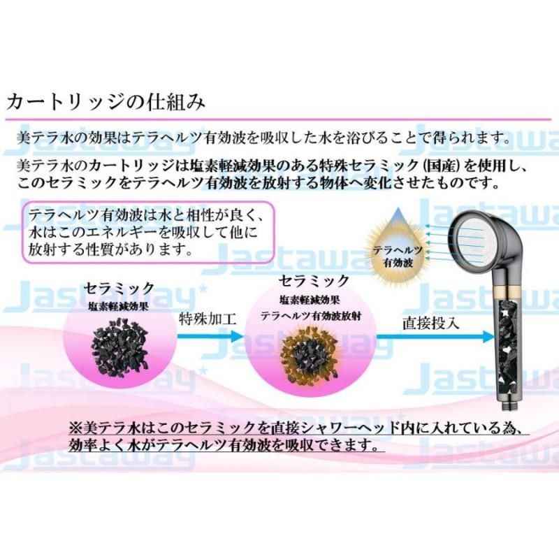 【お取り寄せ★納期 最長 約2週間】テラヘルツ波 シャワーヘッドの最高峰「美テラ水」★美髪・美肌へ　長く美しく 身体全体を整える