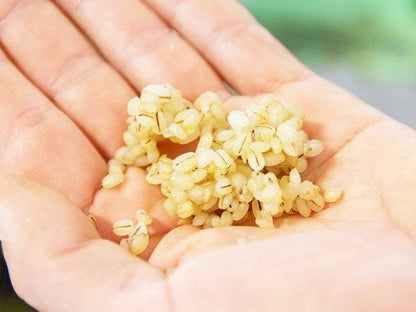 【お取り寄せ★納期 最長 約2週間】EM醤油麹 150g