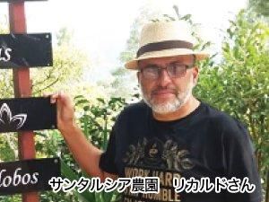 【お取り寄せ★納期 最長 約2週間】コーヒーバッグ 深煎りコクアルド　10包