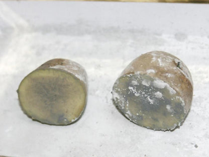 【お取り寄せ★納期 最長 約2週間】菜園EMパウダー　400g