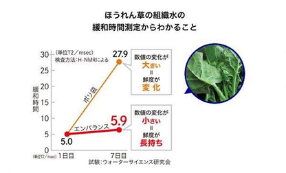 【お取り寄せ★納期 最長 約2週間】エンバランス バッグ 45L　4枚入