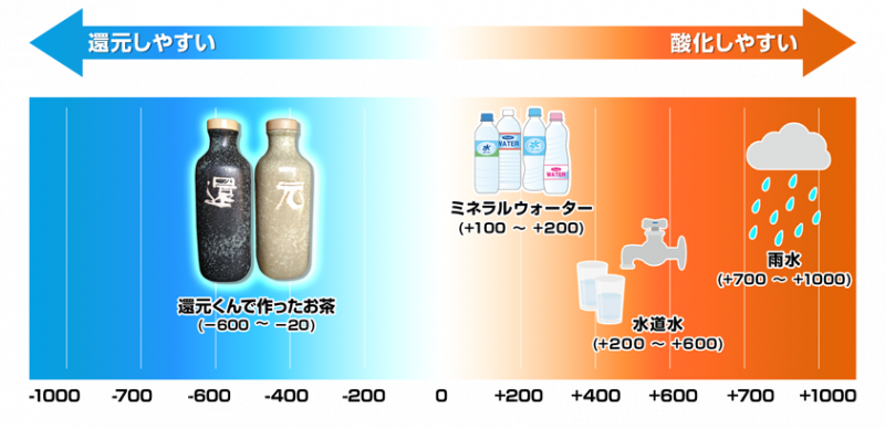 還元くん4通販|低電位水素茶製造ボトル 850ml|伊賀屋 還元くん4通販|低電位水素茶製造ボトル 850ml|伊賀屋