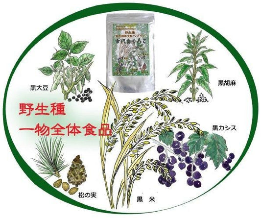 【お取り寄せ★納期 最長 約2週間】千年前の食品舎 古代食くろご ペプチド 800g★黒五粉末は野生種の黒米 黒松の実 黒大豆 黒カシス 黒胡麻 黒ゴマ 黒ごま